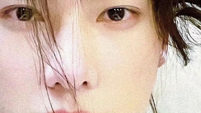 杨洋|永远可以相信椰树老总的审美!力压地球之花波姬,略胜韩国财阀