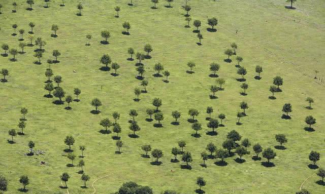 石景山|户口本上有这四个字的注意了