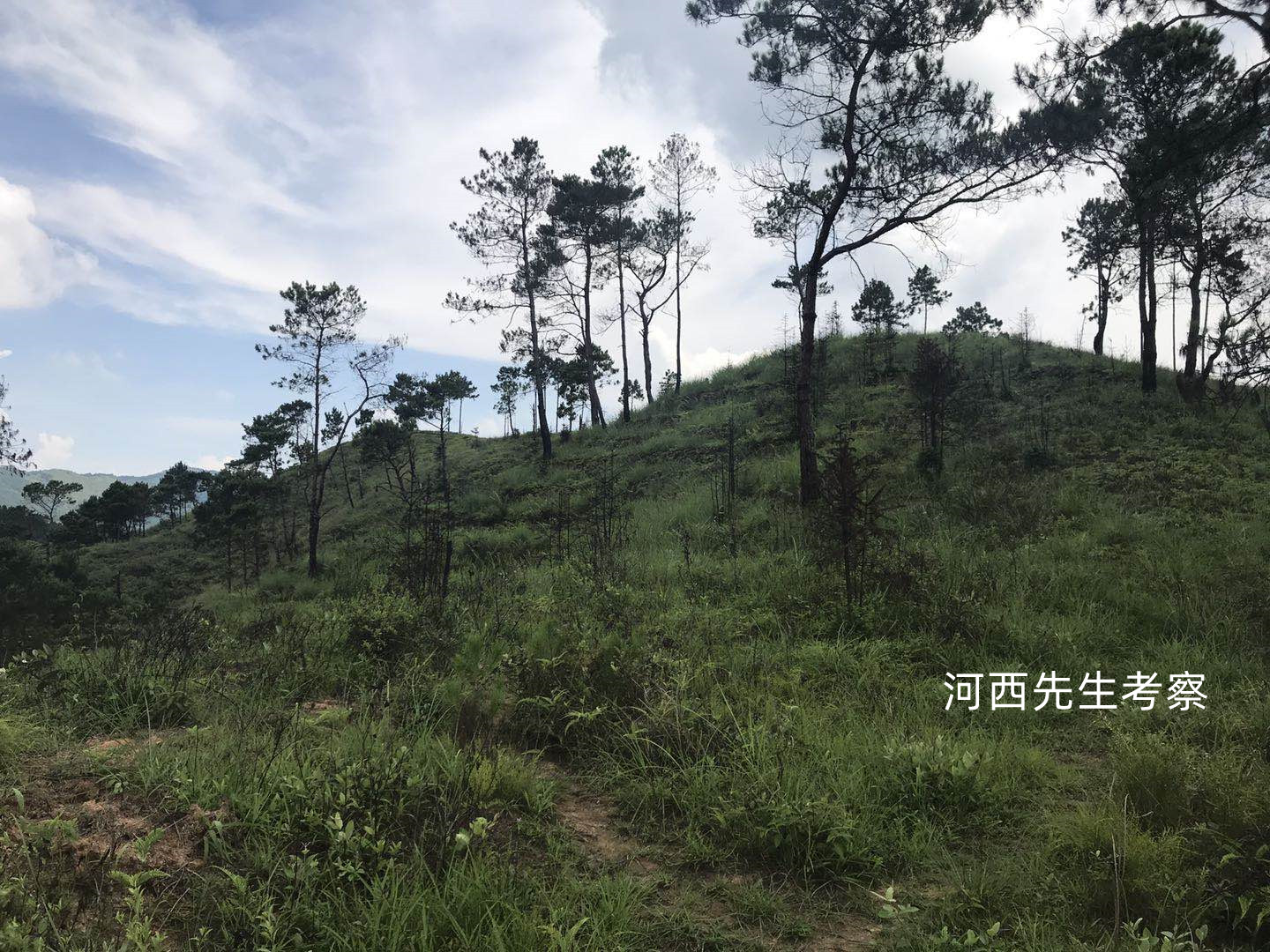 风水:牛眠地,大旺人丁!四百年,后人三四万之李氏祖坟考察分享(多图)