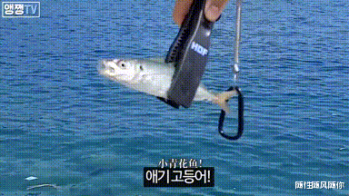 韩国|韩国女钓手:你们那是来看钓鱼的吗?我都不好意思点破你们