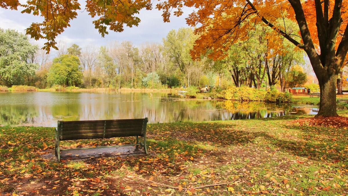 |2023年，网上搞钱的最佳方式是付费学习！