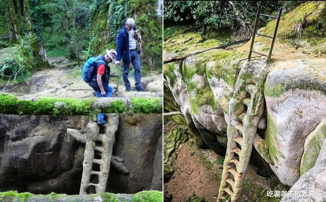 嘉兴|30张活久见的照片，令人眼界大开