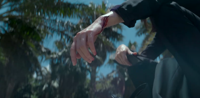 乔绍廷|庭外：闽粤阁案东窗事发，萧臻没自残，乔绍廷“自杀”力保萧臻