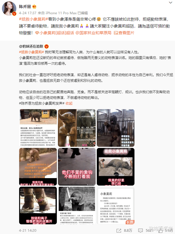 陈柏霖|突传噩耗！大明星沦为阶下囚，刺痛半个中国：她的近照，我不敢看