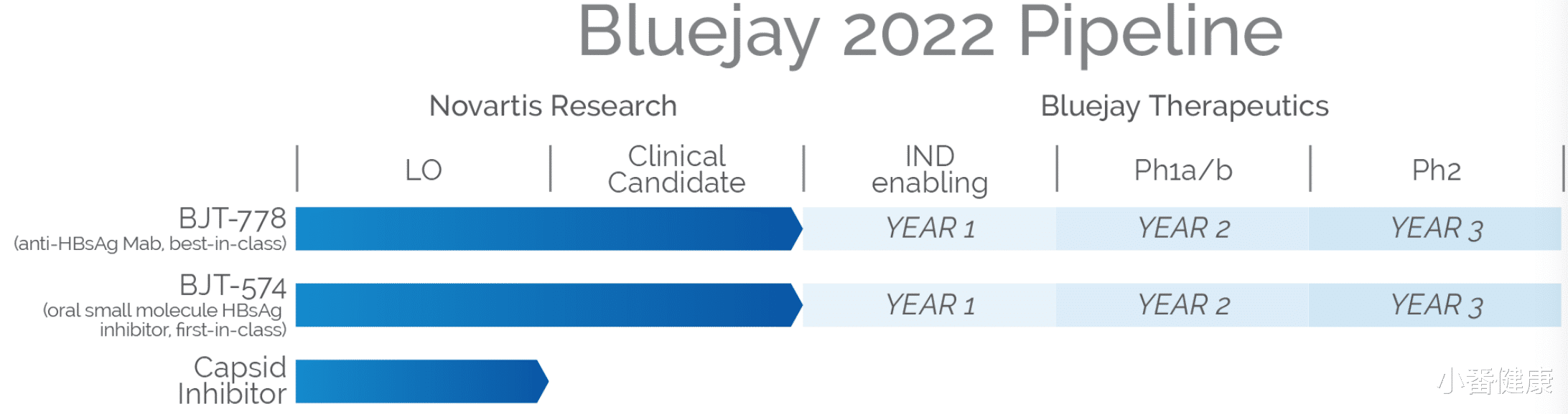 乙肝|乙肝在研新药BJT-778,及BJT-754两种新机制,将推向人体临床开发