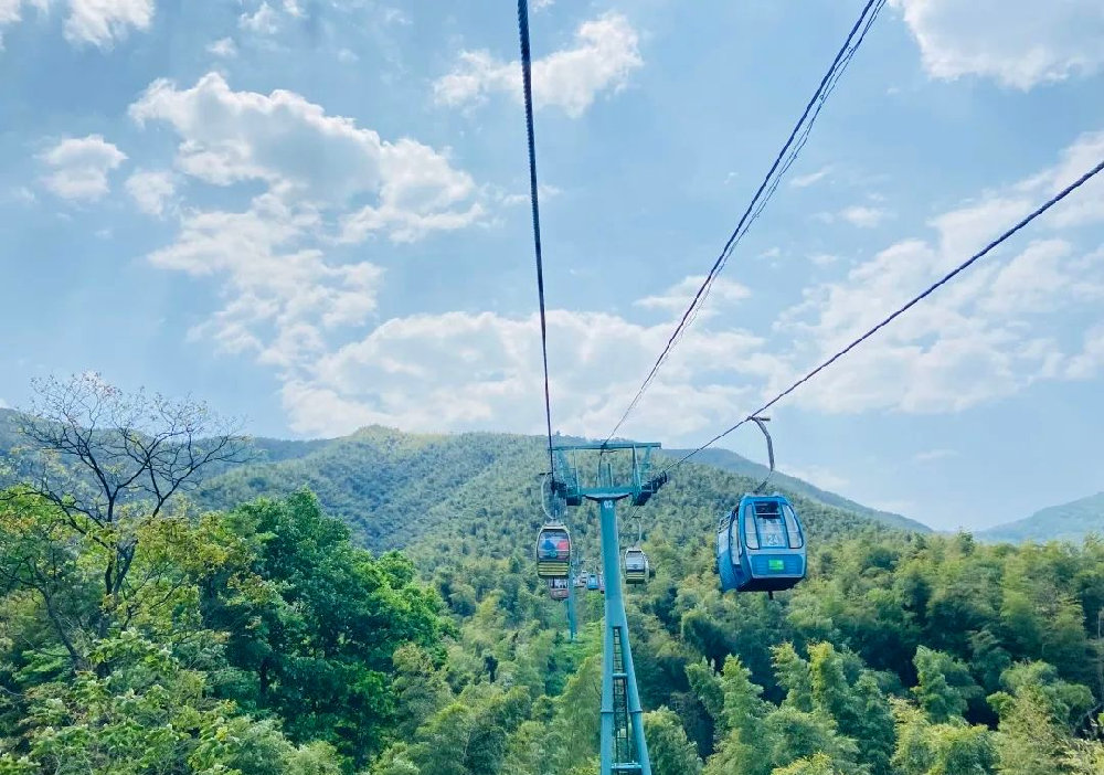 青岛市|夏日避暑|新店大促|宜兴竹海旁高奢民宿