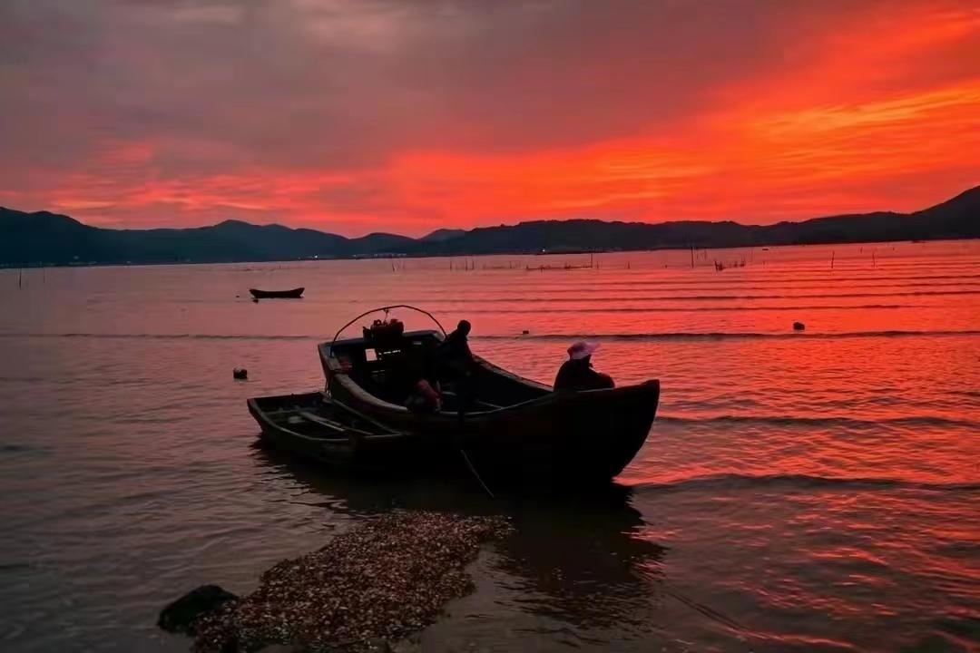 旅行|夏日玩转山海苍南，大海的魅力无穷，古村、茶园、海湾、海滩，美