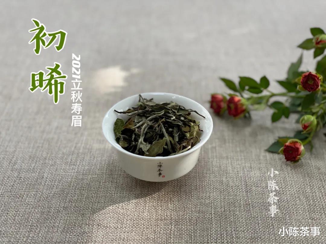 水果|盖碗泡白茶,有没有必要动用克秤?看完这3点,你就有答案了