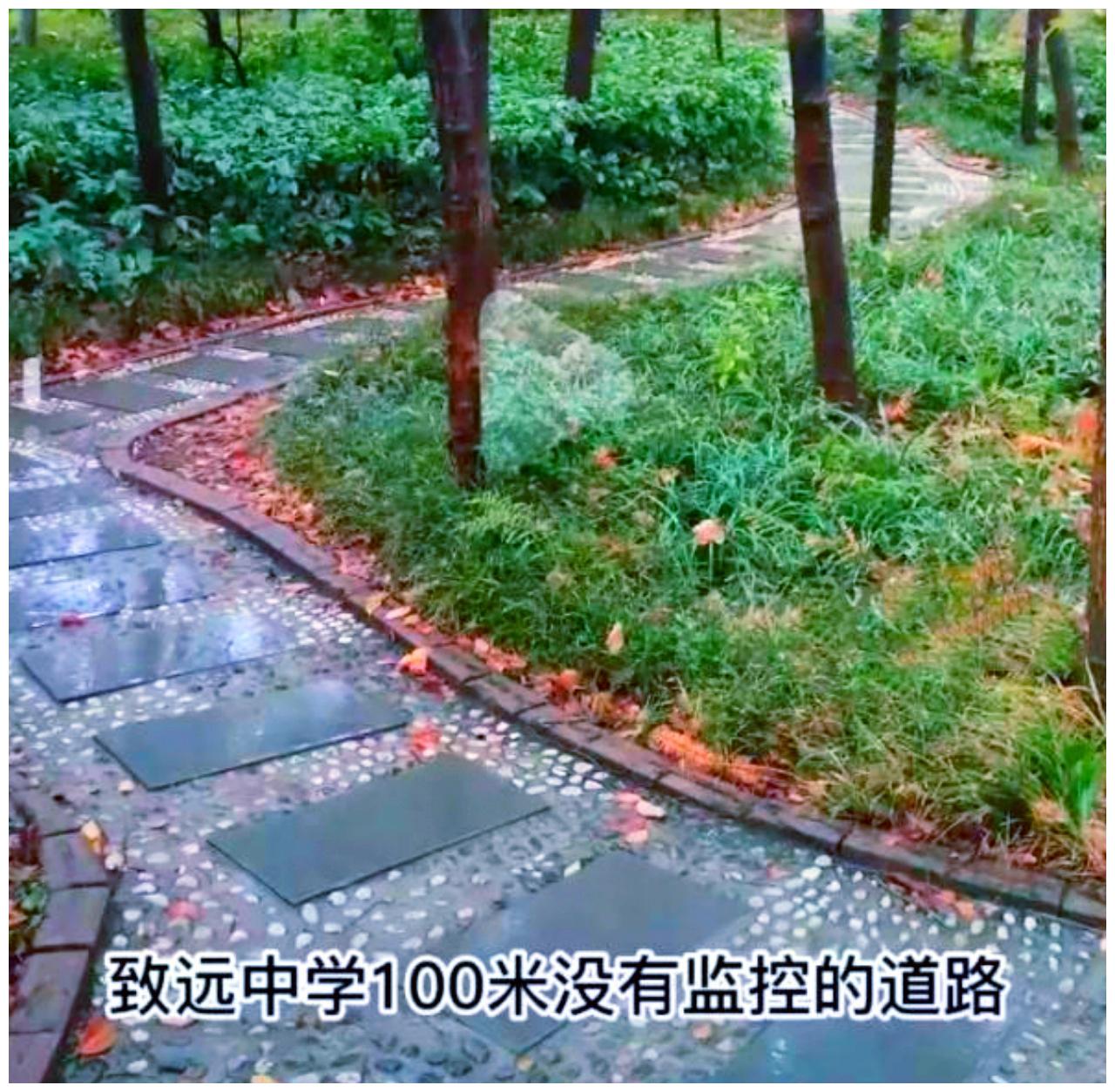 “胡鑫宇失踪”新进展,监控盲区和大家想的不一样