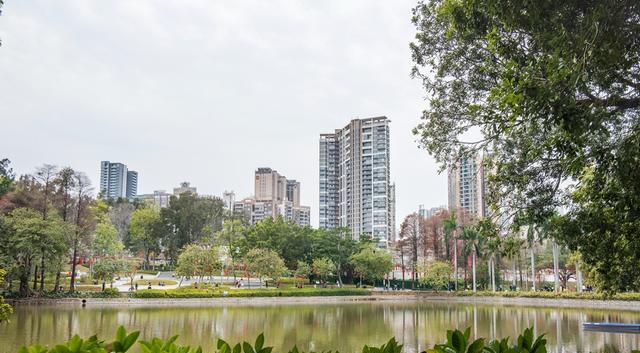 广州市|广州出现“相亲公园”，热闹如招聘会，游客热情高涨