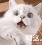 |知三当三,还敢上节目蹦跶?!