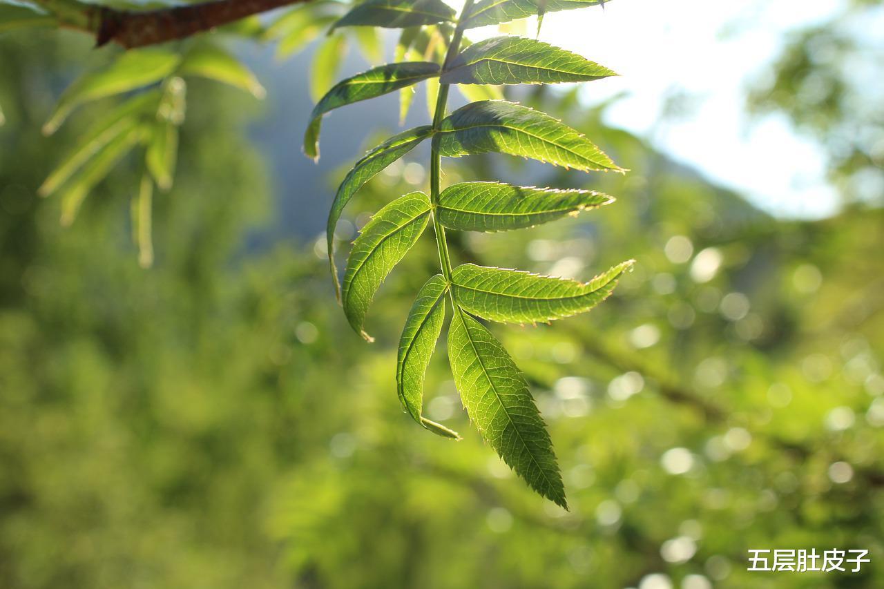 松山湖|十年前我咬牙买下两套房，却被亲戚嘲笑！翻了十倍后，他想原价买