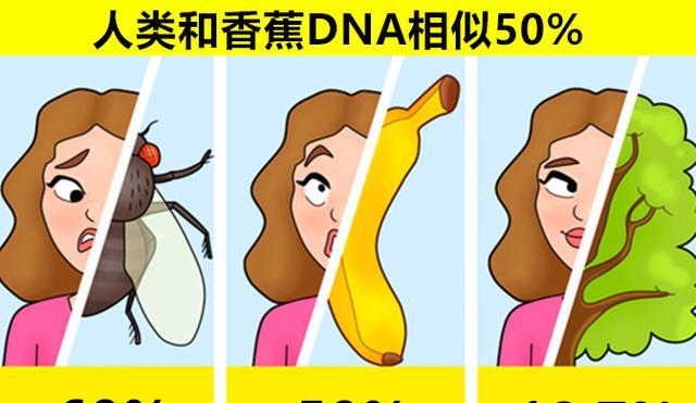 人类和香蕉DNA相似50%?关于人体的9个你或许从不知晓的冷知识
