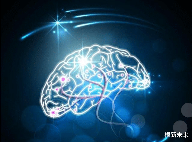 陈根:将人脑细胞移入动物脑内,后果是什么?
