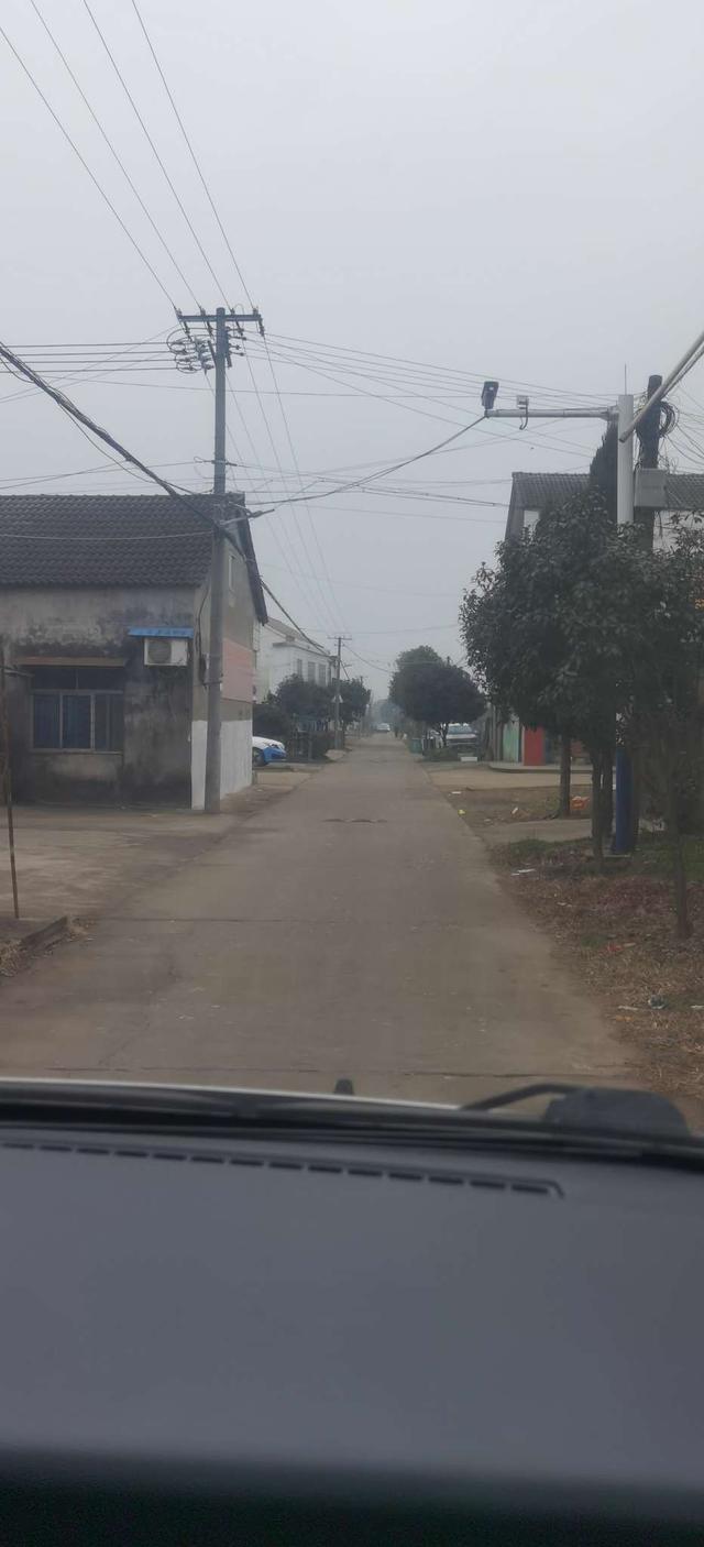 大板|坚持不懈,喜获大板鲫