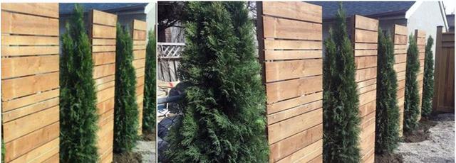 有个院子,别再受传统围墙限制了!5种分段围墙设计,越看越好看