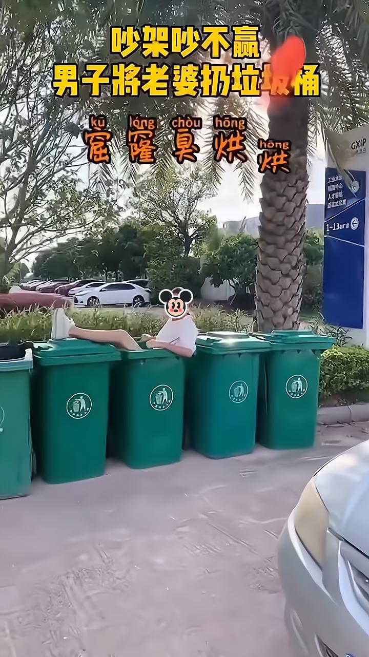 夫妻在车上吵架,妻子干扰安全驾驶,丈夫停车后把她扔进垃圾桶里