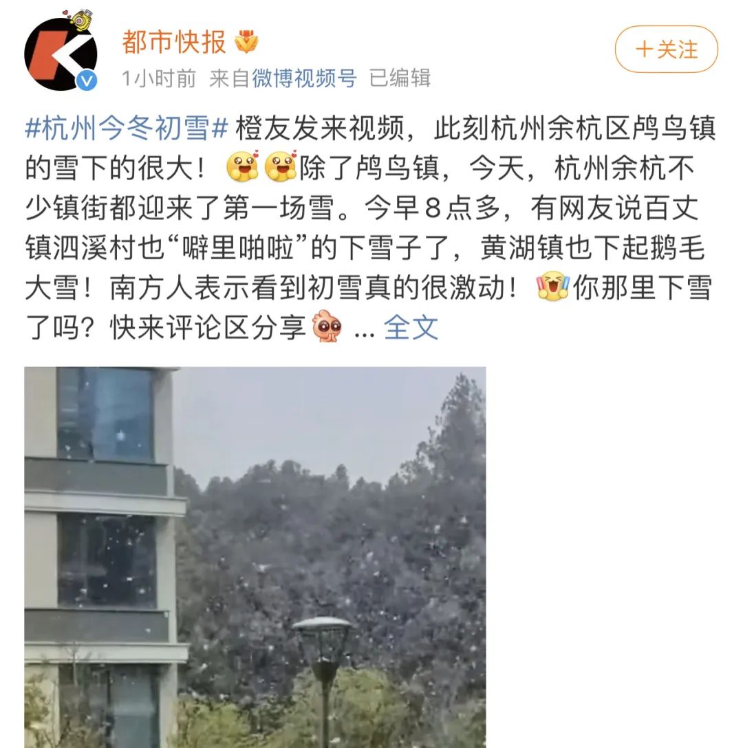 “在冬天，10只流浪猫会有6只死掉！”