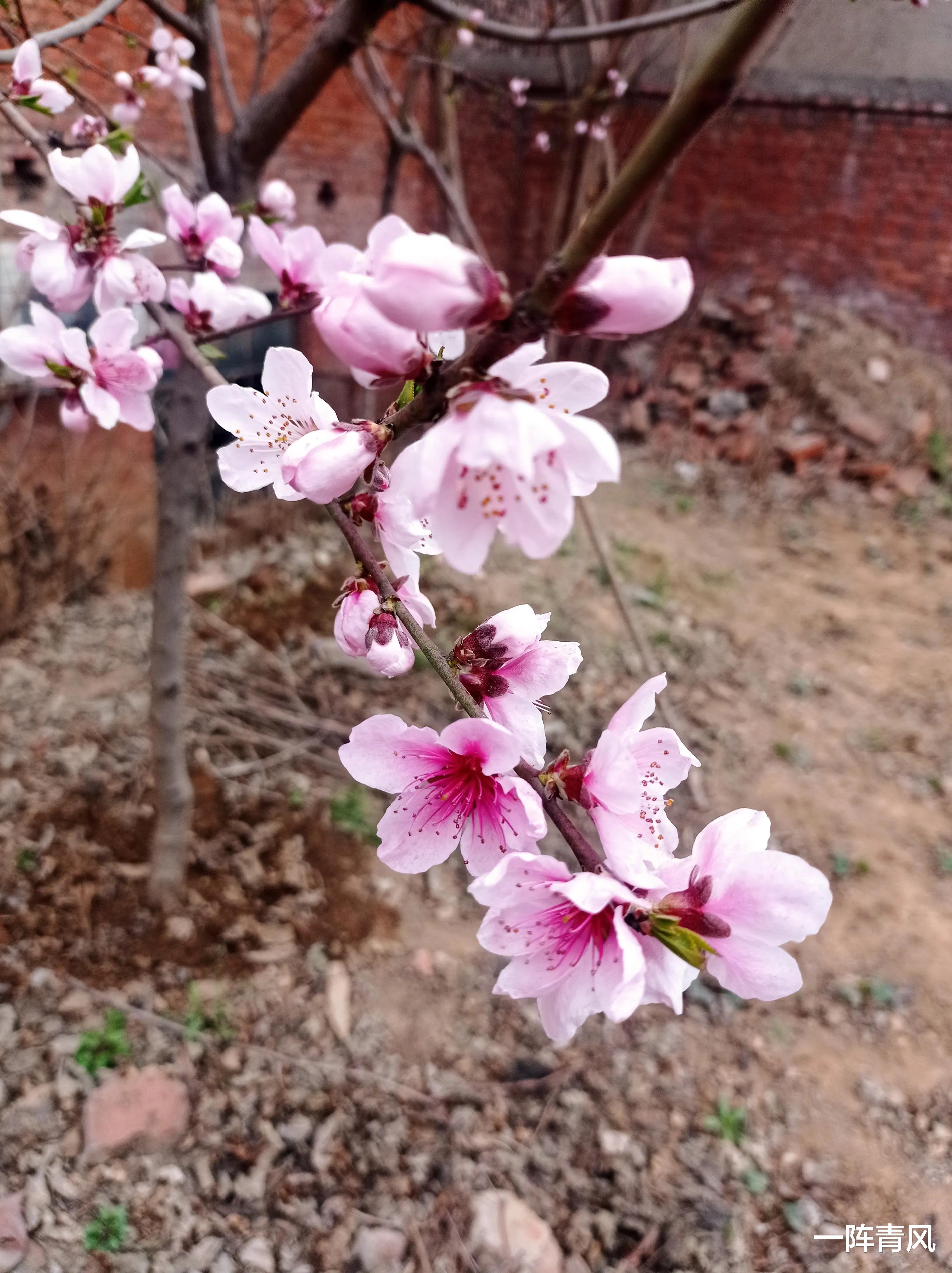 机器|什么样的员工,才会更容易被领导提拔和重用