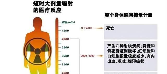 他把头伸进粒子加速器,被接近光速的粒子爆头,没死!咋回事?