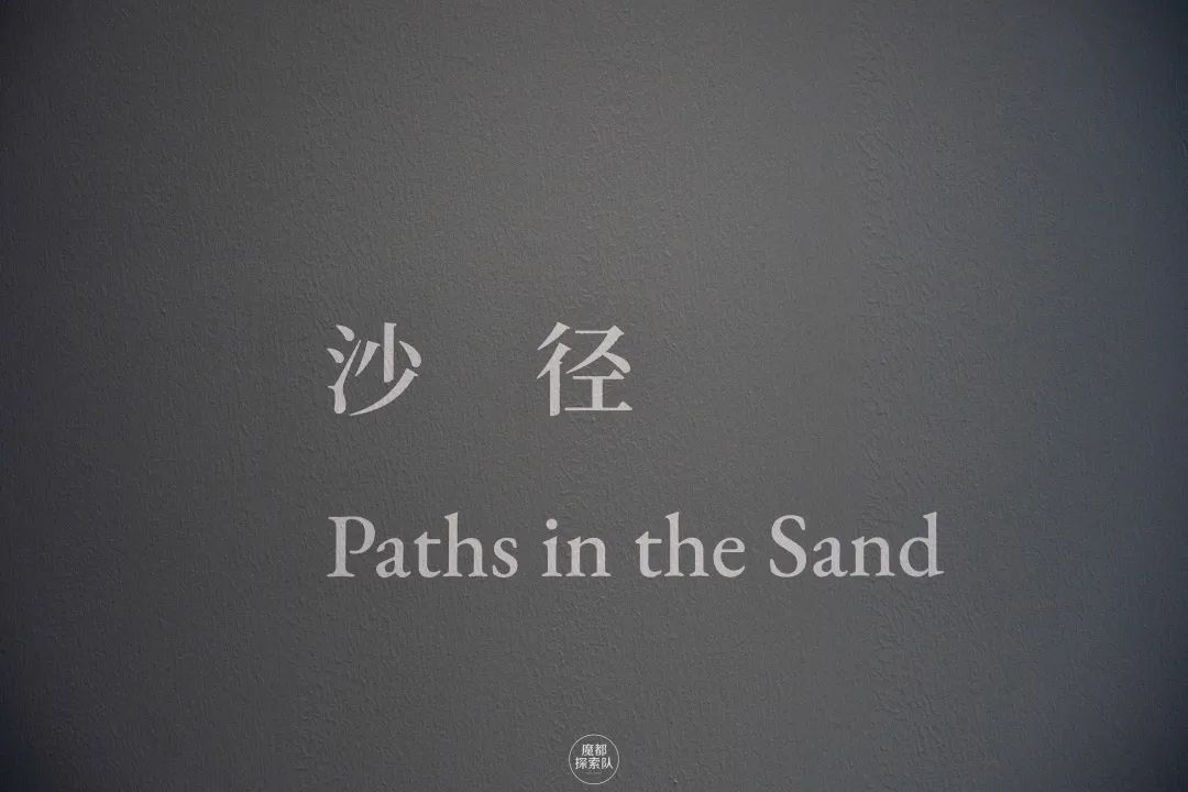聚焦「她」力量，重新发现被忽略的那一面！