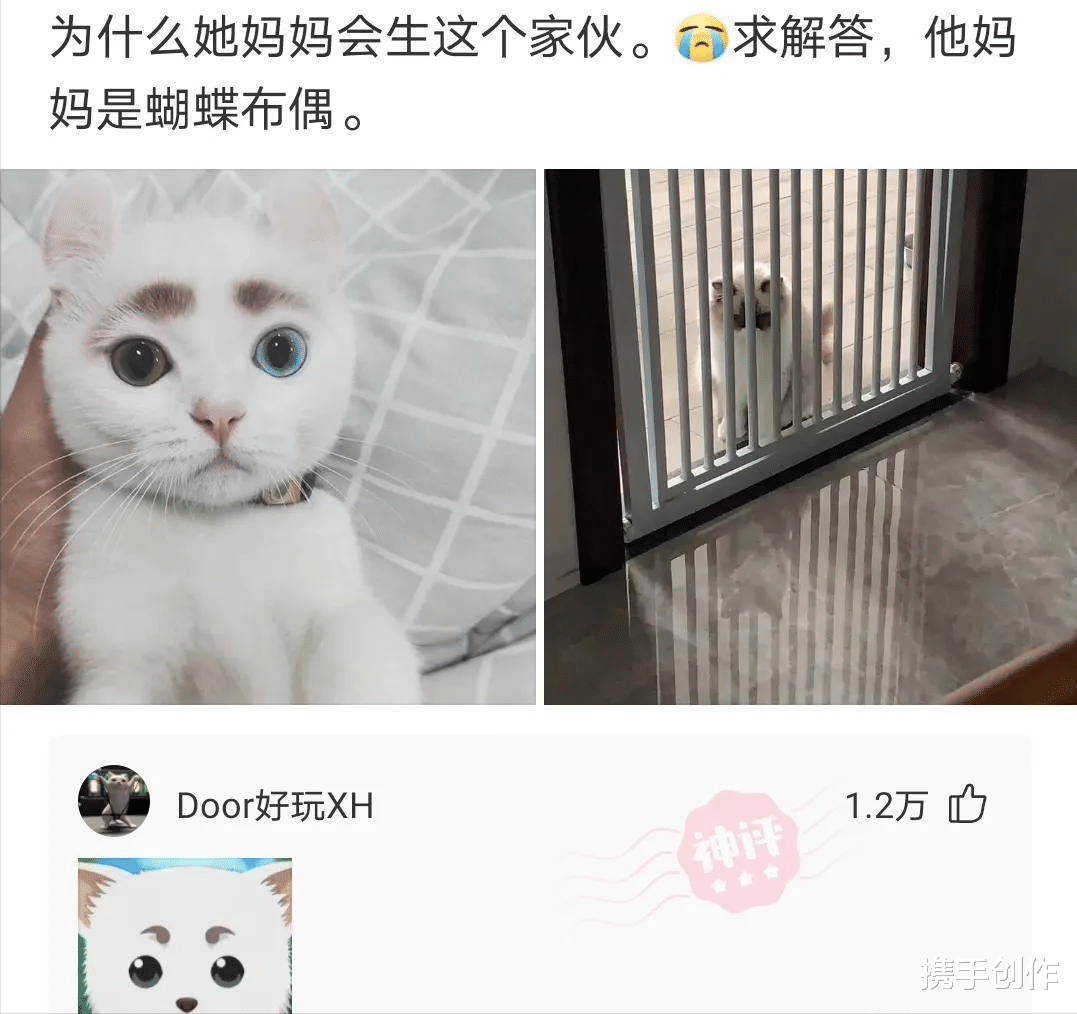 “家里给我介绍了个对象,张口彩礼20万,请问贵吗?”