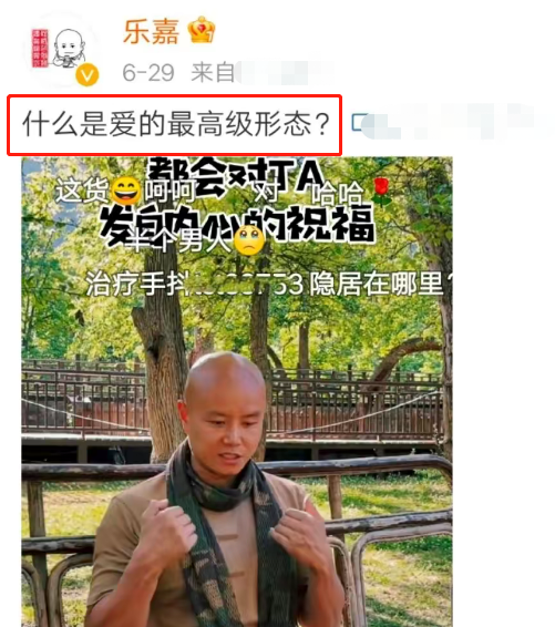 乐嘉|乐嘉,终究为自己的“酒后撒泼”付出了代价