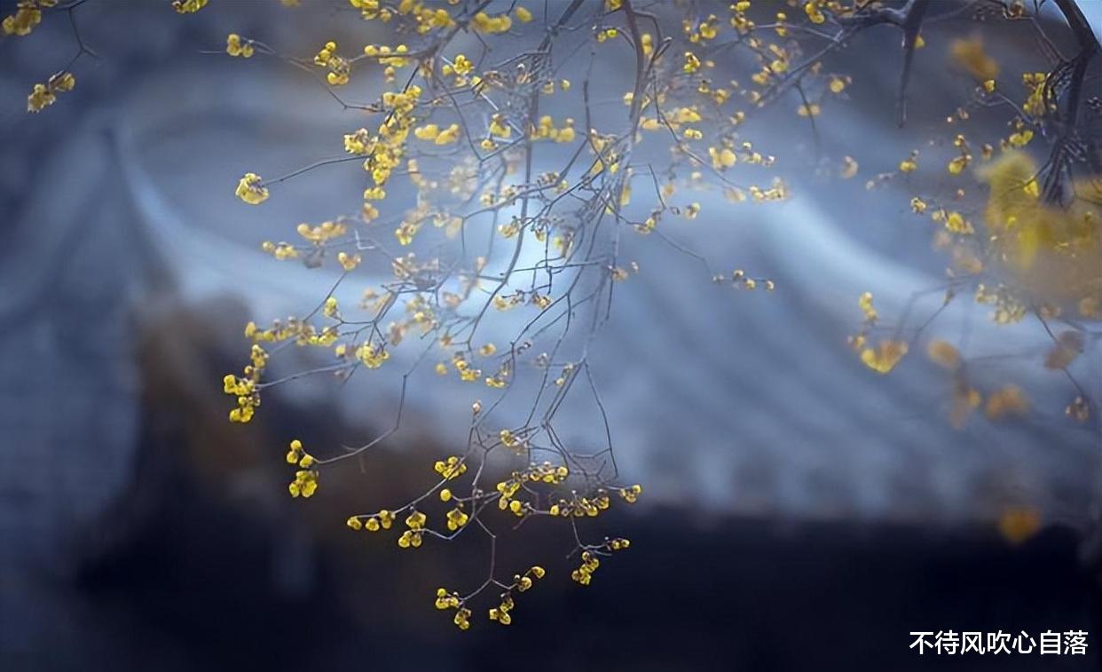 退休|还有1年退休，领导不派工作，同事疏远，看淡3个现实或优雅离开？