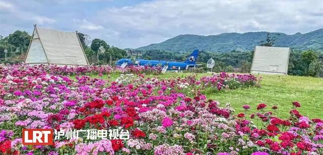 泸州|打卡!醉美泸州·文旅消费新场景出炉