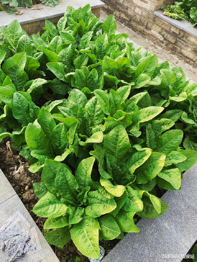 张馨予|张馨予6年发文为自己庆生,今年首度选择不露面,引网友猜测连连