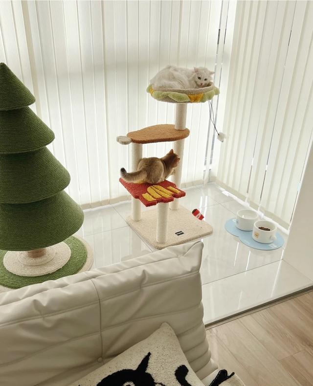 29岁独居男主的70小家,因太会布置而走红,网友:还缺对象吗?