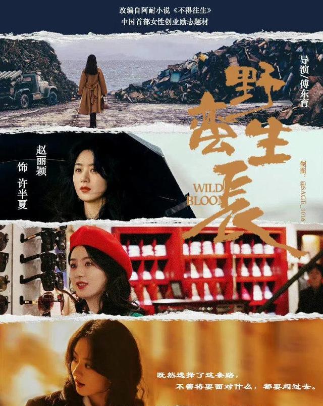 赵丽颖|请君:同样很适合于登登这个角色的赵丽颖,导演为何却选了李沁?