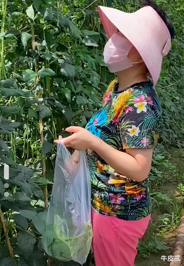 刘德华|刘德华的拖把，李明启的烂背包，扯下了多少富豪明星的“遮羞布”