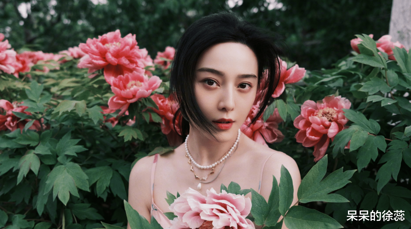 快乐家族|《快本》停播7月，酷厂或将做同类型节目，有望聚齐快乐家族？