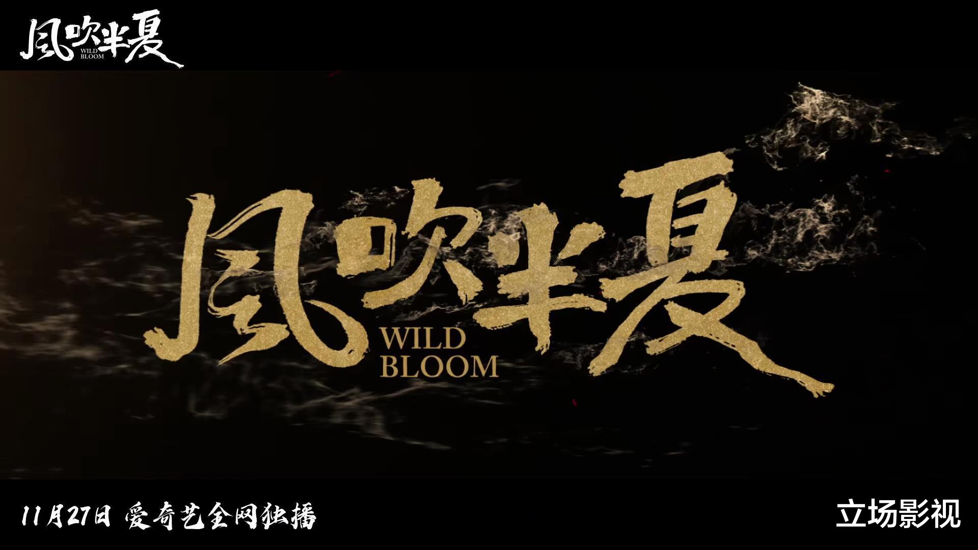 野蛮生长|东方卫视《风吹半夏》首播，看4集不过瘾，说实话，拍出了国剧良心