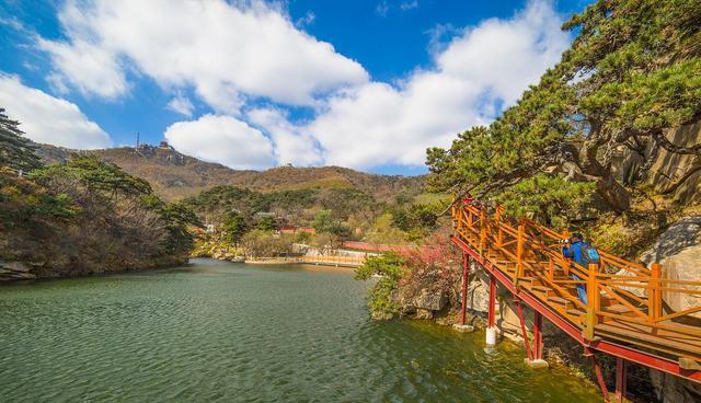 沂山|沂山海拔最高多少米？