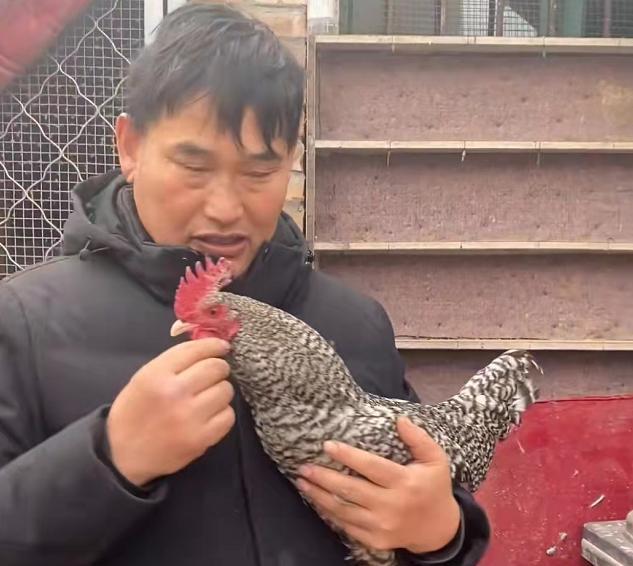 大衣哥重新修缮老宅,给土墙抹灰贴砖,村民:小洋楼给小伟当婚房