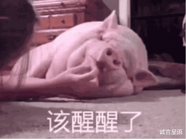 快手视频|当年为了面子，选了985末流专业，如今找工作，开始后悔了