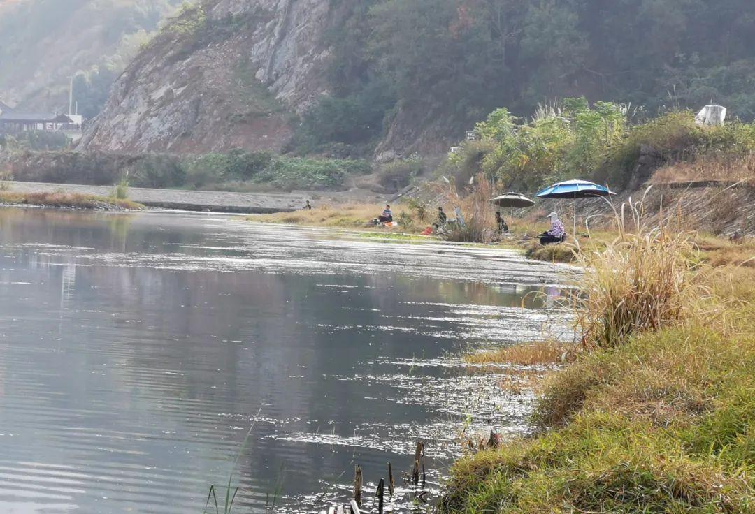 |冬天钓鱼是“人找鱼”,这不是传统钓的“专利”,台钓一样可行!