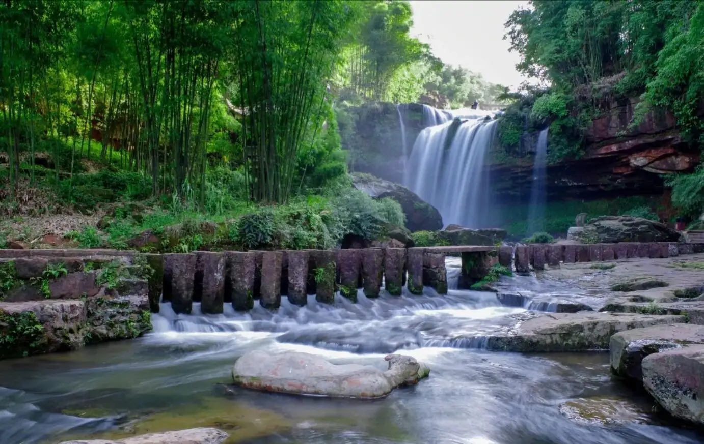 贵阳|四川适合避暑的景点，是世界上集中面积第一大的天然竹林景区