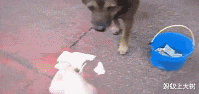 李沁|郭敬明瞧不上3.2亿的房子?网友:隔离在家挺爽的吧