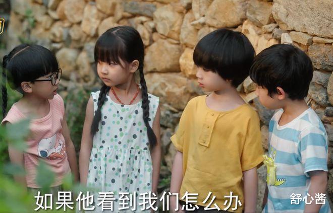 去有风的地方|《去有风的地方》高开高走，凭什么一口气甜到大结局？