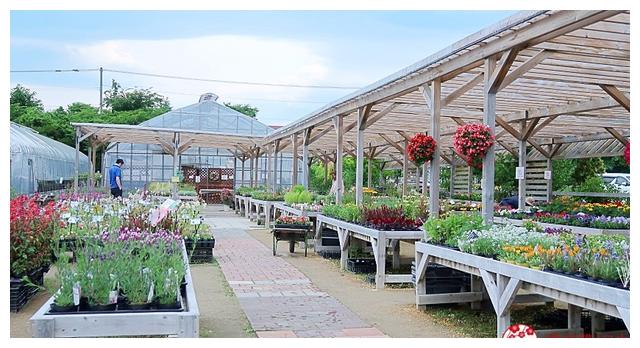 磨西镇|北海道赏花不要只去富良野！花之乡「惠庭」给你超好玩的吃花体验