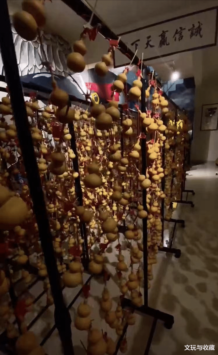 文玩葫芦|深圳大学毕业后回农村种文玩葫芦，一年只能挣30w，怎么办？