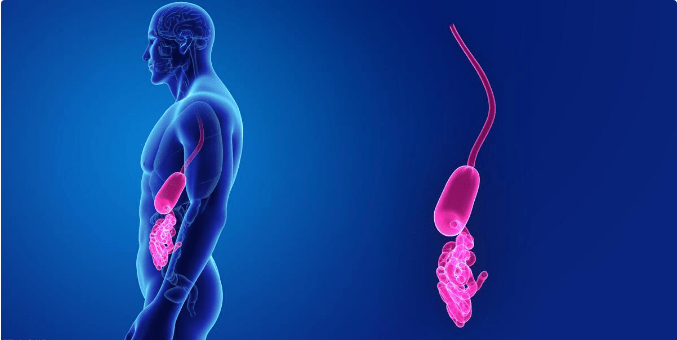 |肌酐达到上千，只能透析吗？2种方法可选，肾内医生给出实用建议