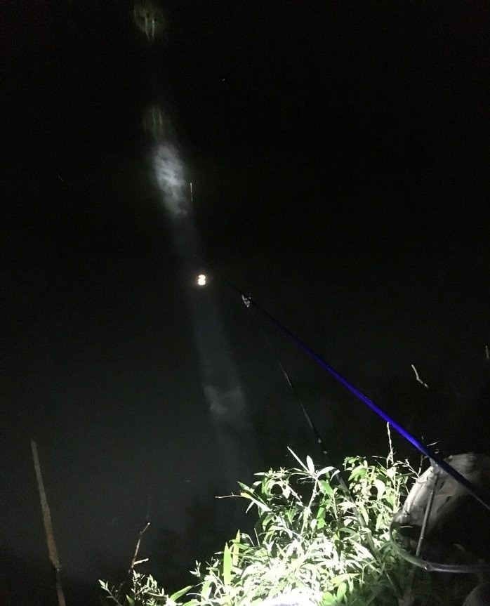 南昌|原来白天和晚点钓鱼区别那么大？