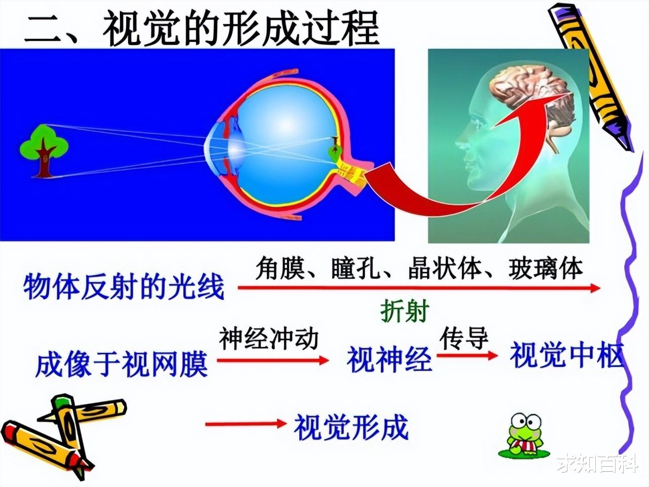人死后还能听到声音?科学家称:临终告别注意谨言慎行