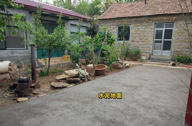 |不仅养老房要“适老化”,院子同样需要,做好这5点,爸妈都满意