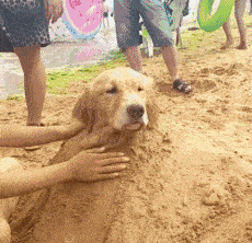 老公偷偷藏私房钱,趁他没下班我做了个美甲,好看吗?哈哈哈哈
