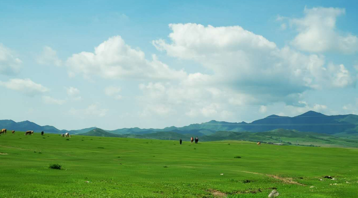 草原|作为游客的您,来草原旅游最担心的是什么?最关心的是什么?